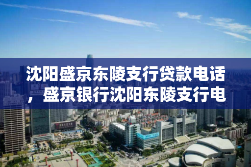 沈阳盛京东陵支行贷款电话,盛京银行沈阳东陵支行电话,盛京银行沈阳东陵支行贷款服务热线 沈阳盛京东陵支行贷款电话,盛京银行沈阳东陵支行电话,盛京银行沈阳东陵支行贷款服务热线