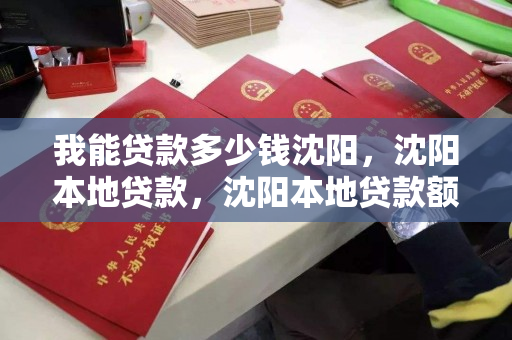 我能贷款多少钱沈阳，沈阳本地贷款，沈阳本地贷款额度查询指南