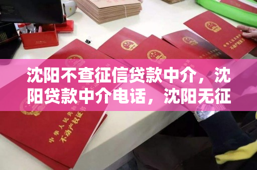 沈阳不查征信贷款中介，沈阳贷款中介电话，沈阳无征信贷款中介服务及联系方式