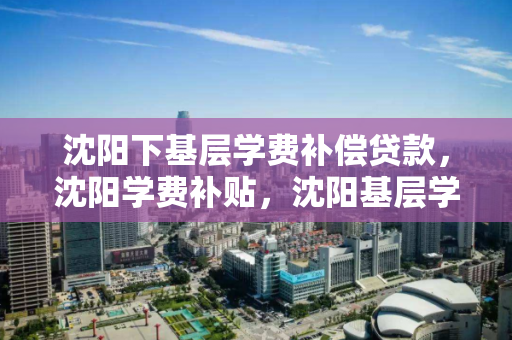 沈阳下基层学费补偿贷款,沈阳学费补贴,沈阳基层学费补偿与贷款补贴政策解析 沈阳下基层学费补偿贷款,沈阳学费补贴,沈阳基层学费补偿与贷款补贴政策解析