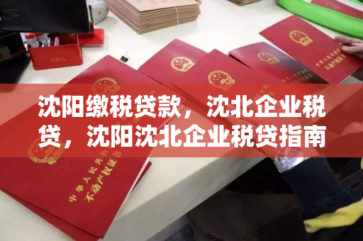 沈阳缴税贷款,沈北企业税贷,沈阳沈北企业税贷指南 沈阳缴税贷款,沈北企业税贷,沈阳沈北企业税贷指南
