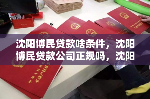 沈阳博民贷款啥条件，沈阳博民贷款公司正规吗，沈阳博民贷款条件及公司正规性评估