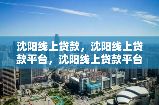 沈阳线上贷款，沈阳线上贷款平台，沈阳线上贷款平台，便捷金融服务指南