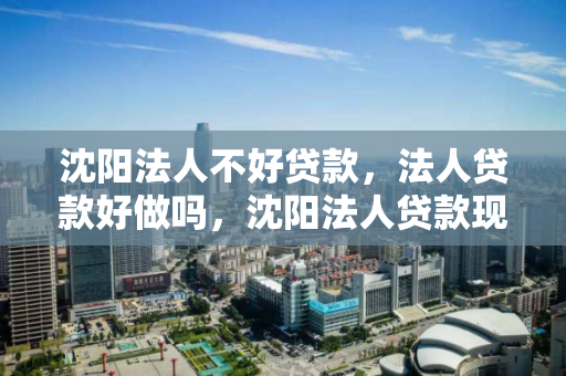 沈阳法人不好贷款，法人贷款好做吗，沈阳法人贷款现状及可行性分析