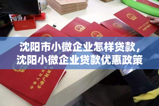 沈阳市小微企业怎样贷款，沈阳小微企业贷款优惠政策，沈阳市小微企业贷款攻略，优惠政策与申请指南