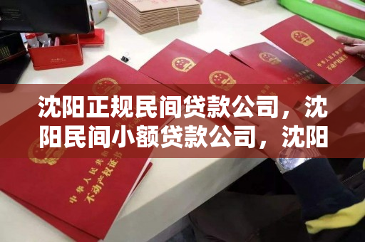 沈阳正规民间贷款公司，沈阳民间小额贷款公司，沈阳正规民间贷款与小额贷款公司指南