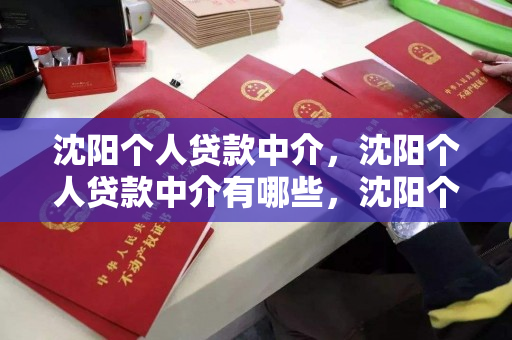 沈阳个人贷款中介,沈阳个人贷款中介有哪些,沈阳个人贷款中介全解析 沈阳个人贷款中介,沈阳个人贷款中介有哪些,沈阳个人贷款中介全解析
