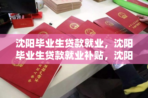 沈阳毕业生贷款就业，沈阳毕业生贷款就业补贴，沈阳毕业生贷款与就业补贴政策解读