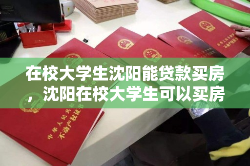 在校大学生沈阳能贷款买房,沈阳在校大学生可以买房吗,沈阳在校大学生购房贷款政策解析 在校大学生沈阳能贷款买房,沈阳在校大学生可以买房吗,沈阳在校大学生购房贷款政策解析