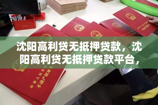 沈阳高利贷无抵押贷款，沈阳高利贷无抵押贷款平台，沈阳无抵押高利贷平台风险警示