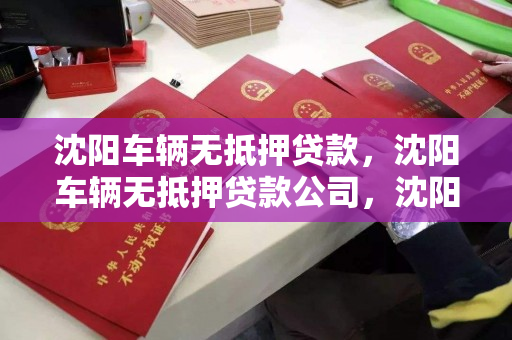 沈阳车辆无抵押贷款，沈阳车辆无抵押贷款公司，沈阳车辆无抵押贷款服务公司