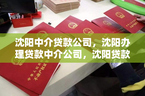 沈阳中介贷款公司，沈阳办理贷款中介公司，沈阳贷款中介服务指南