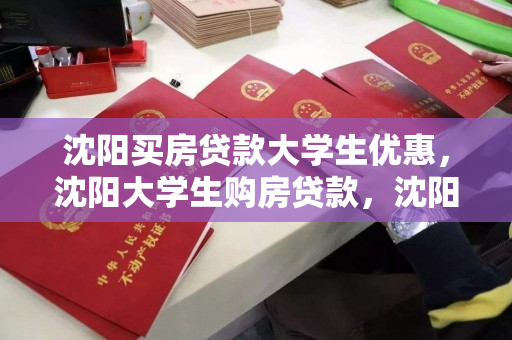 沈阳买房贷款大学生优惠，沈阳大学生购房贷款，沈阳大学生购房贷款优惠政策解析