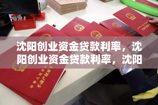 沈阳创业资金贷款利率，沈阳创业资金贷款利率，沈阳创业资金贷款利率解析