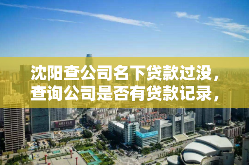沈阳查公司名下贷款过没，查询公司是否有贷款记录，沈阳公司贷款记录查询，如何检查企业名下是否有贷款