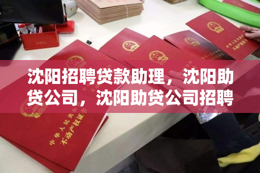 沈阳招聘贷款助理,沈阳助贷公司,沈阳助贷公司招聘贷款助理职位 沈阳招聘贷款助理,沈阳助贷公司,沈阳助贷公司招聘贷款助理职位