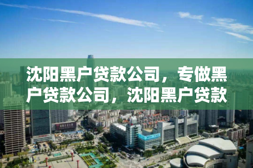 沈阳黑户贷款公司，专做黑户贷款公司，沈阳黑户贷款服务，专业解决信用问题贷款需求