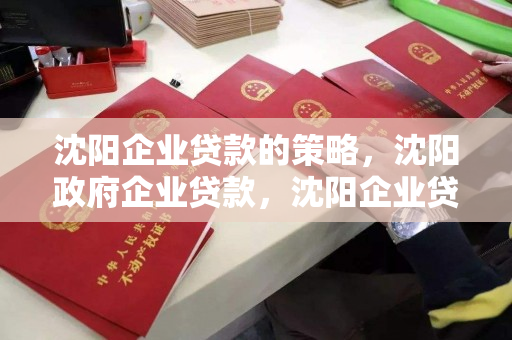 沈阳企业贷款的策略，沈阳政府企业贷款，沈阳企业贷款，政府支持策略解析