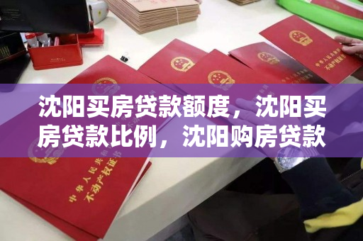 沈阳买房贷款额度，沈阳买房贷款比例，沈阳购房贷款额度与比例解析