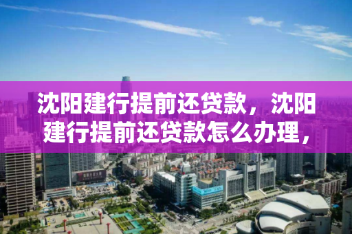 沈阳建行提前还贷款，沈阳建行提前还贷款怎么办理，沈阳建行提前还贷攻略，办理流程详解