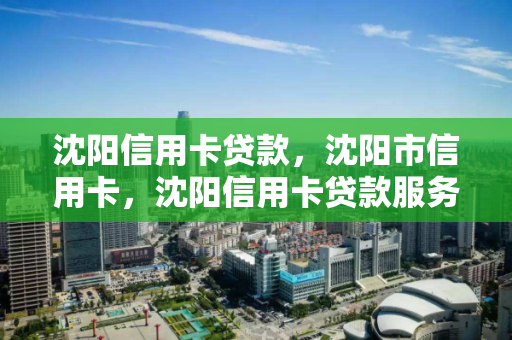 沈阳信用卡贷款，沈阳市信用卡，沈阳信用卡贷款服务全解析