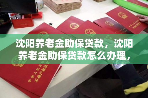 沈阳养老金助保贷款,沈阳养老金助保贷款怎么办理,沈阳养老金助保贷款办理指南 沈阳养老金助保贷款,沈阳养老金助保贷款怎么办理,沈阳养老金助保贷款办理指南