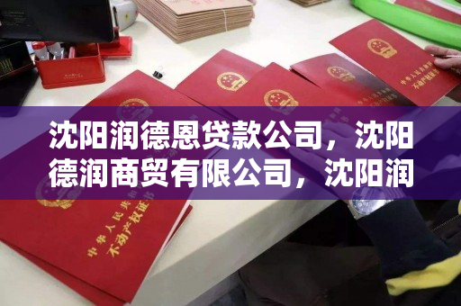 沈阳润德恩贷款公司，沈阳德润商贸有限公司，沈阳润德恩贷款与德润商贸，金融服务与商贸合作的桥梁