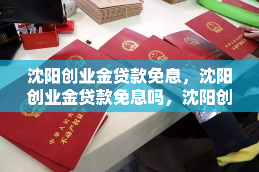 沈阳创业金贷款免息，沈阳创业金贷款免息吗，沈阳创业金贷款免息政策解读