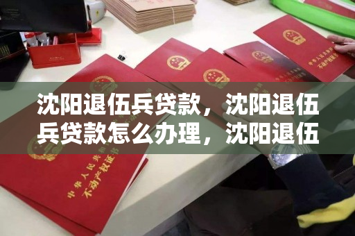 沈阳退伍兵贷款，沈阳退伍兵贷款怎么办理，沈阳退伍军人贷款办理指南