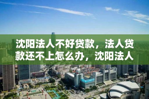 沈阳法人不好贷款,法人贷款还不上怎么办,沈阳法人贷款困境,如何解决法人贷款难题及应对策略 沈阳法人不好贷款,法人贷款还不上怎么办,沈阳法人贷款困境,如何解决法人贷款难题及应对策略
