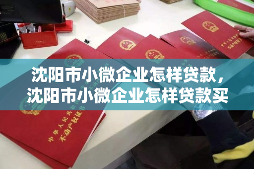 沈阳市小微企业怎样贷款,沈阳市小微企业怎样贷款买房,沈阳市小微企业贷款及购房指南 沈阳市小微企业怎样贷款,沈阳市小微企业怎样贷款买房,沈阳市小微企业贷款及购房指南