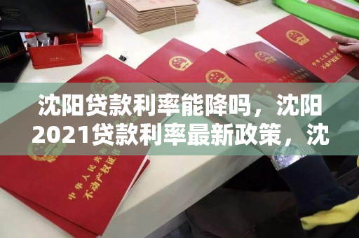 沈阳贷款利率能降吗，沈阳2021贷款利率最新政策，沈阳2021年贷款利率政策及降息可能性分析