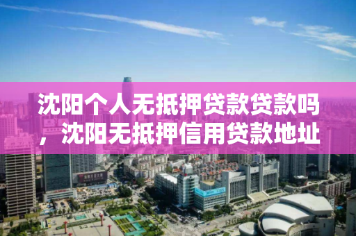沈阳个人无抵押贷款贷款吗，沈阳无抵押信用贷款地址，沈阳无抵押贷款服务，信用贷款地址及申请指南