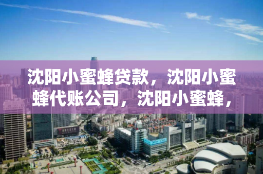 沈阳小蜜蜂贷款,沈阳小蜜蜂代账公司,沈阳小蜜蜂,贷款与代账服务专家 沈阳小蜜蜂贷款,沈阳小蜜蜂代账公司,沈阳小蜜蜂,贷款与代账服务专家