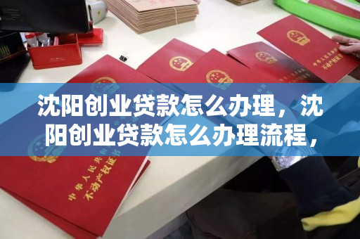 沈阳创业贷款怎么办理，沈阳创业贷款怎么办理流程，沈阳创业贷款申请流程及办理指南