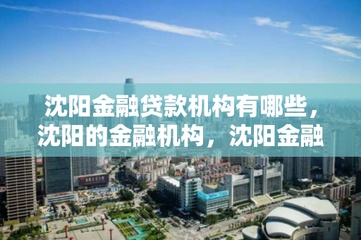 沈阳金融贷款机构有哪些,沈阳的金融机构,沈阳金融贷款机构概览 沈阳金融贷款机构有哪些,沈阳的金融机构,沈阳金融贷款机构概览