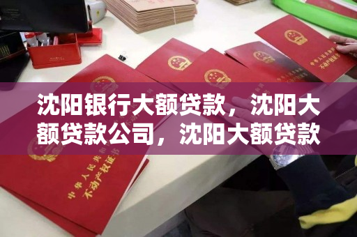 沈阳银行大额贷款，沈阳大额贷款公司，沈阳大额贷款服务，银行与公司对比分析