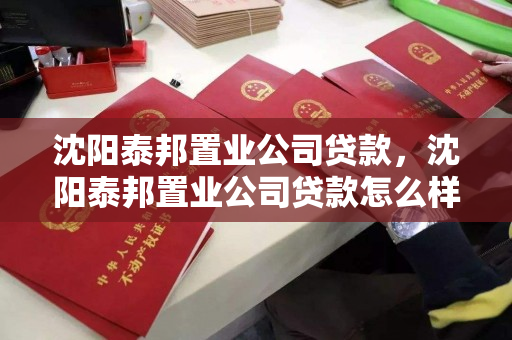 沈阳泰邦置业公司贷款，沈阳泰邦置业公司贷款怎么样，沈阳泰邦置业贷款评估，风险与机遇解析