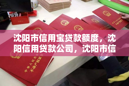 沈阳市信用宝贷款额度，沈阳信用贷款公司，沈阳市信用宝贷款额度与信用贷款公司概览