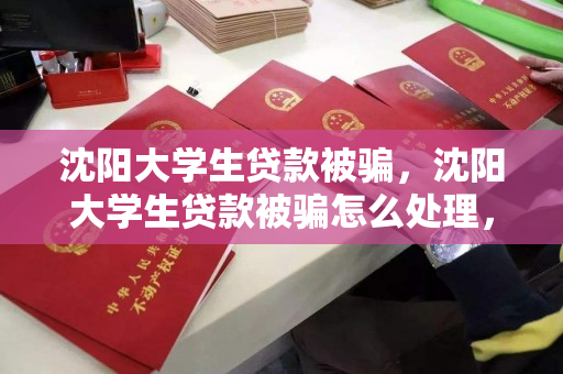沈阳大学生贷款被骗，沈阳大学生贷款被骗怎么处理，大学生贷款诈骗应对指南，以沈阳案例分析