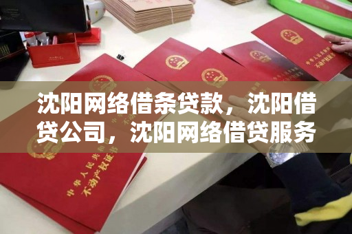 沈阳网络借条贷款，沈阳借贷公司，沈阳网络借贷服务，借贷公司的便捷选择