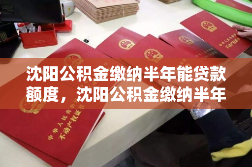 沈阳公积金缴纳半年能贷款额度,沈阳公积金缴纳半年能贷款额度多少,沈阳公积金半年缴纳贷款额度解析 沈阳公积金缴纳半年能贷款额度,沈阳公积金缴纳半年能贷款额度多少,沈阳公积金半年缴纳贷款额度解析