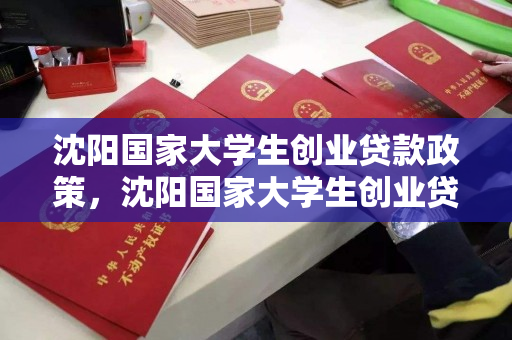 沈阳国家大学生创业贷款政策,沈阳国家大学生创业贷款政策最新,沈阳国家大学生创业贷款政策解析与最新动态 沈阳国家大学生创业贷款政策,沈阳国家大学生创业贷款政策最新,沈阳国家大学生创业贷款政策解析与最新动态