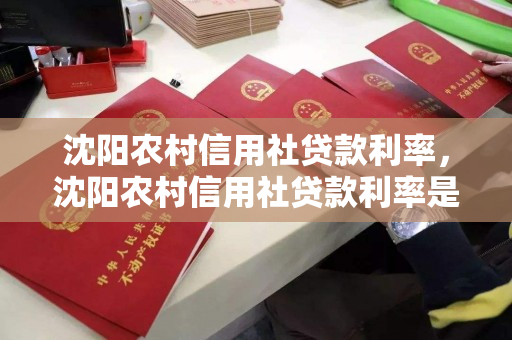 沈阳农村信用社贷款利率,沈阳农村信用社贷款利率是多少,沈阳农村信用社贷款利率概览 沈阳农村信用社贷款利率,沈阳农村信用社贷款利率是多少,沈阳农村信用社贷款利率概览