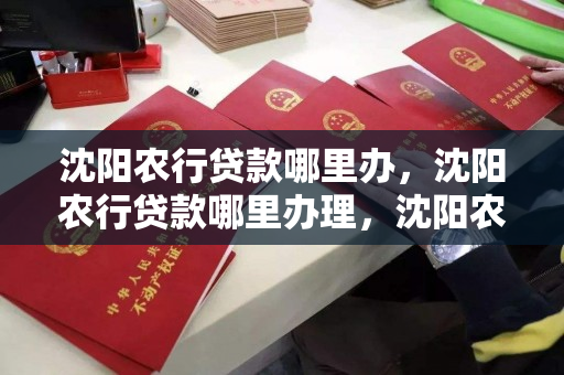 沈阳农行贷款哪里办，沈阳农行贷款哪里办理，沈阳农行贷款办理指南