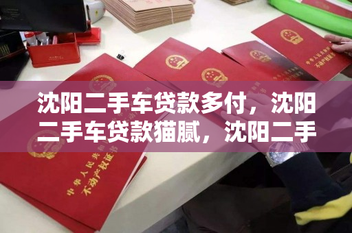 沈阳二手车贷款多付，沈阳二手车贷款猫腻，沈阳二手车贷款陷阱与额外费用揭秘