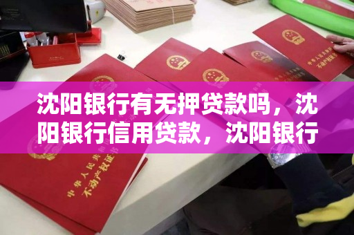 沈阳银行有无押贷款吗,沈阳银行信用贷款,沈阳银行信用贷款与无抵押贷款服务解析 沈阳银行有无押贷款吗,沈阳银行信用贷款,沈阳银行信用贷款与无抵押贷款服务解析