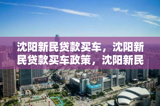 沈阳新民贷款买车，沈阳新民贷款买车政策，沈阳新民地区购车贷款政策解析