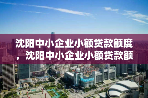 沈阳中小企业小额贷款额度,沈阳中小企业小额贷款额度查询,沈阳中小企业小额贷款额度查询指南 沈阳中小企业小额贷款额度,沈阳中小企业小额贷款额度查询,沈阳中小企业小额贷款额度查询指南