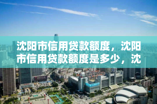 沈阳市信用贷款额度，沈阳市信用贷款额度是多少，沈阳市信用贷款额度解析